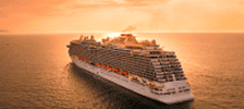 Cruise Ship Passenger Accidents